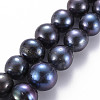 Natural Keshi Pearl Beads Strands PEAR-S020-L06-2