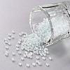 11/0 Grade A Transparent Glass Seed Beads X-SEED-N001-F-237-1