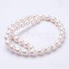 Natural Cultured Freshwater Pearl Beads Strands PEAR-P002-09-2