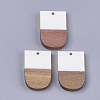 Resin & Walnut Wood Pendants X-RESI-S358-34C-1