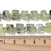 Natural Prehnite Beads Strands G-G053-B12-01C-5