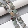 Natural African Bloodstone Beads Strands G-K359-B16-01-2