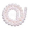 Natural Cultured Freshwater Pearl Beads Strands PEAR-N016-09C-4