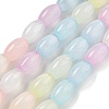 Macaron Color Natural Selenite Beads Strands G-B102-A01-01-1