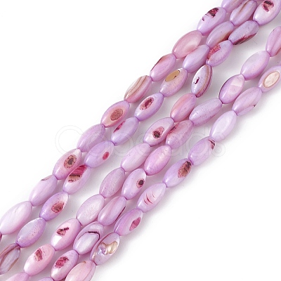 Natural Freshwater Shell Dyed Beads Strands SHEL-M018-13-10-1