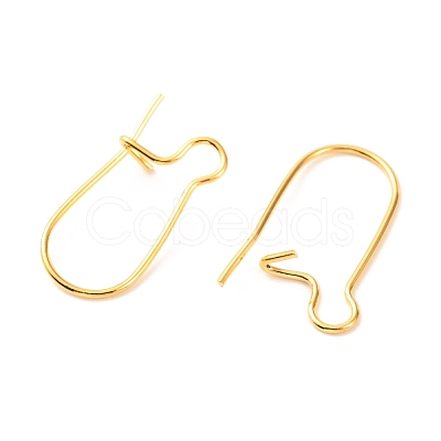 Brass Hoop Earring Findings KK-F824-009G-1