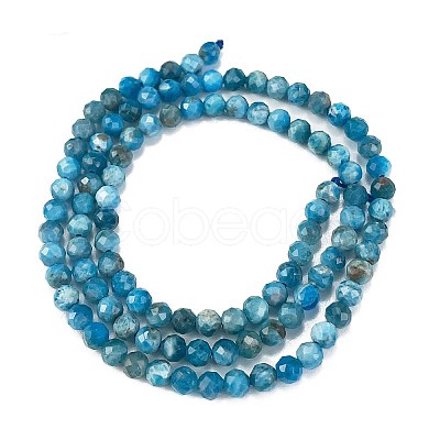 Natural Apatite Beads Strands G-C127-A01-01-1