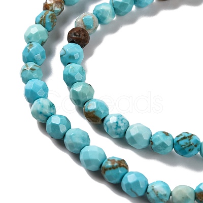 Natural Howlite Beads Strands G-C025-02C-06-1