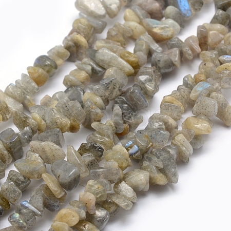 Natural Labradorite Beads Strands X-G-P332-23-1
