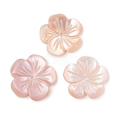 Natural Pink Shell Carved Beads SSHEL-I026-12C-03-1