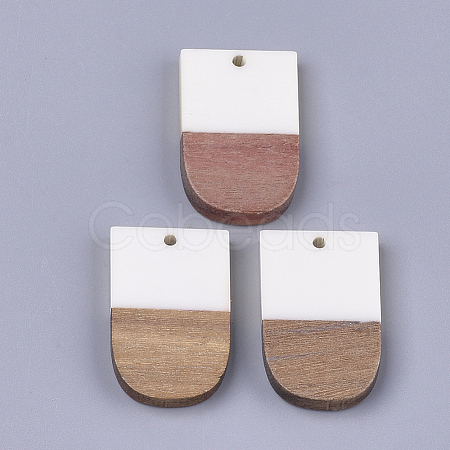 Resin & Walnut Wood Pendants X-RESI-S358-34C-1