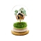 Natural Green Aventurine Chips Tree and Mini House in Dome Glass Bell Jars with Wood Base Display Decorations, for Home Office Decoration, 53x84mm