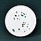 Twelve Constellations Plaster Coaster, with Green Aventurine Clips, Flat Round, Gemini, 100mm