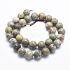 Natural Fossil Coral Beads Strands G-K256-11-10mm-2