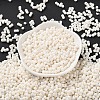 Rubberized Style Glass Seed Beads SEED-Z003-01J-4