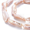 Natural Keshi Pearl Beads Strands PEAR-S020-H02-4