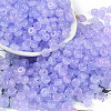 Transparent Colours Glass Seed Beads SEED-P008-01B-05-1