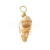 Natural Spiral Shell Pendants PALLOY-JF02793-01-3