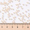 TOHO Round Seed Beads SEED-TR08-0751-3