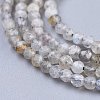 Natural Rainbow Moonstone Beads Strands G-R475-025A-3