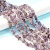 Natural Purple Lodolite Quartz Beads Strands G-G031-02-4
