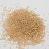 8/0 Transparent Glass Round Seed Beads X-SEED-J010-F8-L36-3