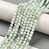 Natural Green Opal Beads Strands G-Z035-A02-02B-2