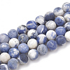 Natural Sodalite Beads Strands G-T106-215-1