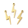 Ion Plating(IP) 316L Surgical Stainless Steel Pendants STAS-H213-01G-3
