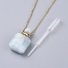 Natural Aquamarine Perfume Bottle Pendant Necklaces NJEW-F266-01B-3