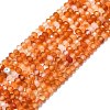 Natural Carnelian Beads Strands G-F715-093-1