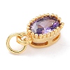 Real 18K Gold Plated Brass Inlaid Cubic Zirconia Charms ZIRC-L100-079G-06-4