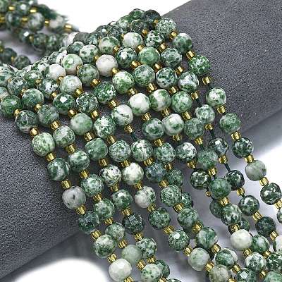 Natural Green Spot Jasper Beads Strands G-K389-E64-01-1