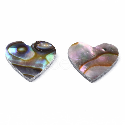 Natural Abalone Shell/Paua Shell Cabochons SSHEL-N034-117-1