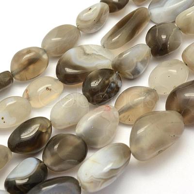 Natural Botswana Agate Beads Strands G-L464-03-1