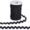 Gorgecraft Polyester Wavy Fringe Trim, Wave Bending Lace Ribbon, for Clothes Sewing and Art Craft Decoration, Black, 3/8 inch(10mm), about 25 yards