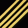 Fluorescent Nylon Thread NWIR-T002-01B-3
