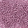 8/0 Glass Seed Beads SEED-A017-3mm-1110-2