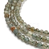 Natural Green Apatite Beads Strands G-G105-A05-01-4