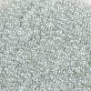 Round Glass Seed Beads X-SEED-A006-2mm-101-5