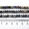Natural Sodalite Beads Strands G-J400-A10-03-5