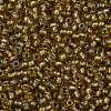 TOHO Round Seed Beads SEED-TR11-0279-2