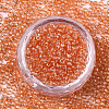 Glass Seed Beads X-SEED-S042-11A-03-2