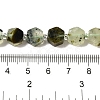 Natural Prehnite Beads Strands G-P534-A01-02-5