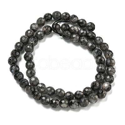 Natural Larvikite Beads Strands G-E571-A09-01-1