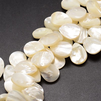 Natural Trochid Shell/Trochus Shell Beads Strands SSHEL-K009-06-1