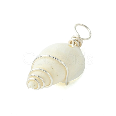 Natural Spiral Shell Pendants PALLOY-JF02792-02-1