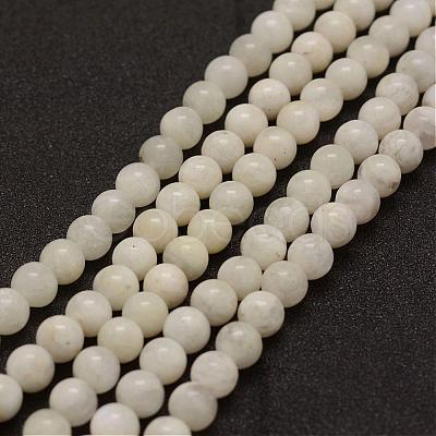 Natural White Moonstone Bead Strands G-G970-37-10mm-1