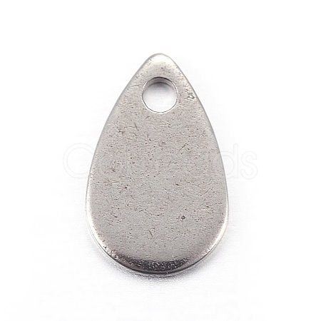 Stainless Steel Charms X-STAS-L211-02A-P-1