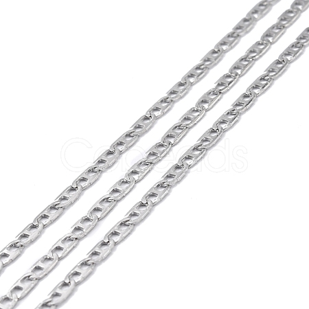 304 Stainless Steel Mariner Link Chains STAS-P301-01P-1